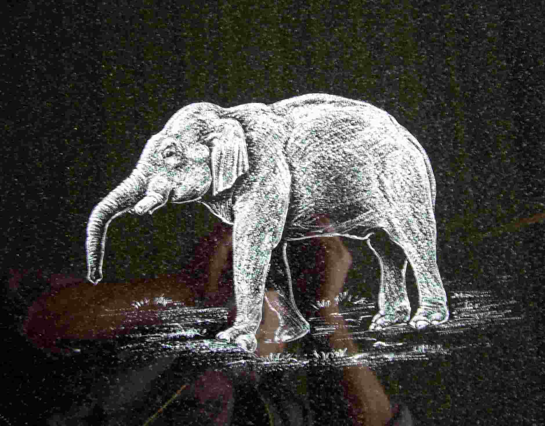 Elefant